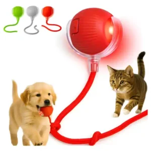 Brinquedo Interativo para Pets Bolinha Fornecedor de Atacado para Lojista Revenda Caixa