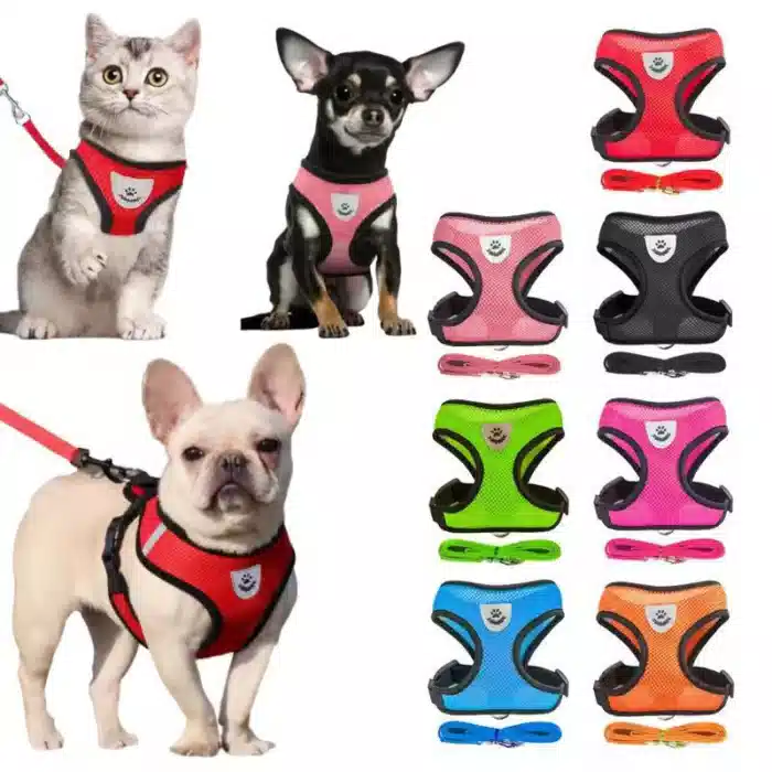 Focinheiras para Cães Fornecedor de Atacado para Lojista Revenda Caixa
