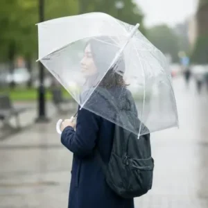 Guarda Chuva Sombrinha Transparente Automático Cabo Curvado Bengala Fornecedor de Atacado para Lojista Revenda Caixa Fechada